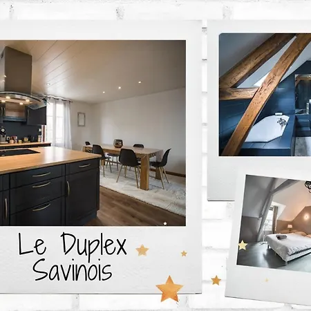 公寓 Le Duplex Savinois 90m2 Parking Public Gratuit 圣特萨维内